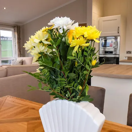 Holly Ferienhaus Whitby